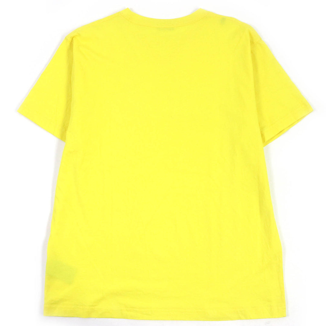 Great DIOR Short sleeve T-shirt Peter Doig collaboration mens XL 143J685C0677
