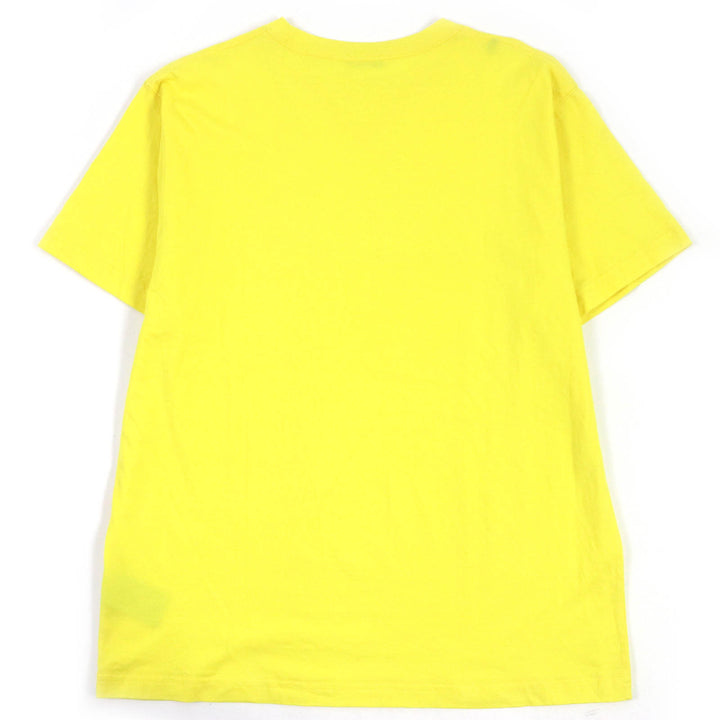 Great DIOR Short sleeve T-shirt Peter Doig collaboration mens XL 143J685C0677