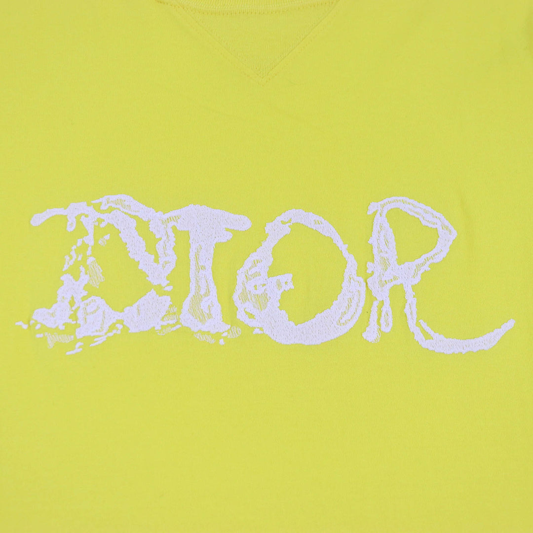 Great DIOR Short sleeve T-shirt Peter Doig collaboration mens XL 143J685C0677