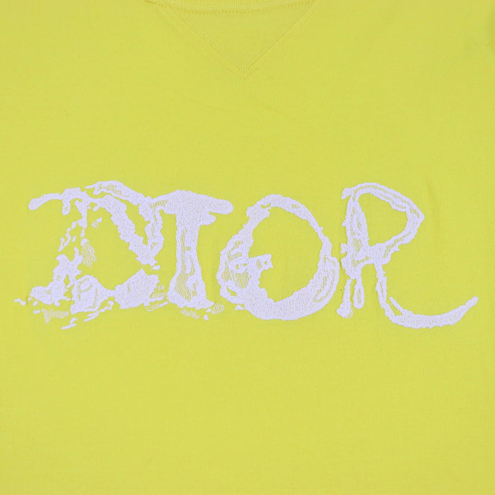 Great DIOR Short sleeve T-shirt Peter Doig collaboration mens XL 143J685C0677