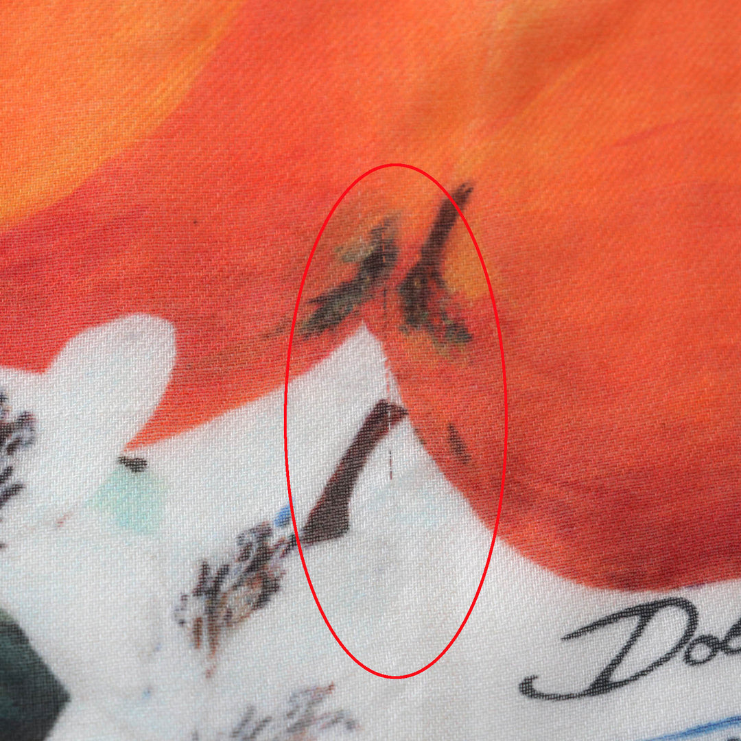 Excellent DOLCE&GABBANA Stall Large shawl with fringe, logo, flower and fruit design Multi Modal Women
