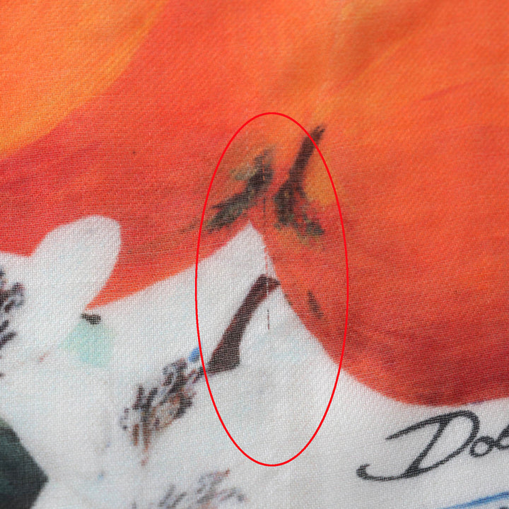 Excellent DOLCE&GABBANA Stall Large shawl with fringe, logo, flower and fruit design Multi Modal Women