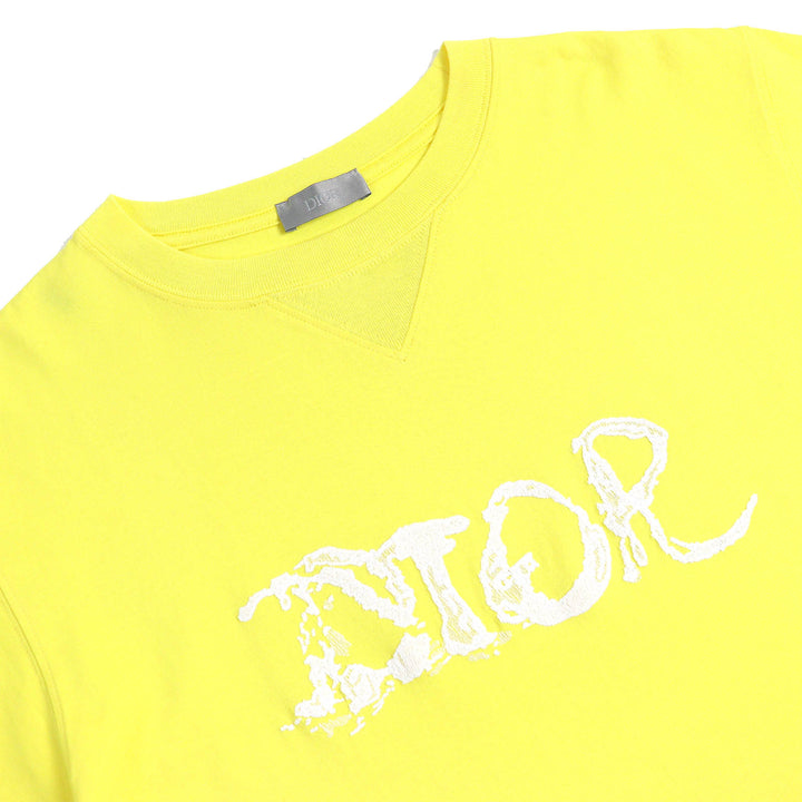 Great DIOR Peter Doig Short sleeve T-shirt cotton XS 143J685C0677