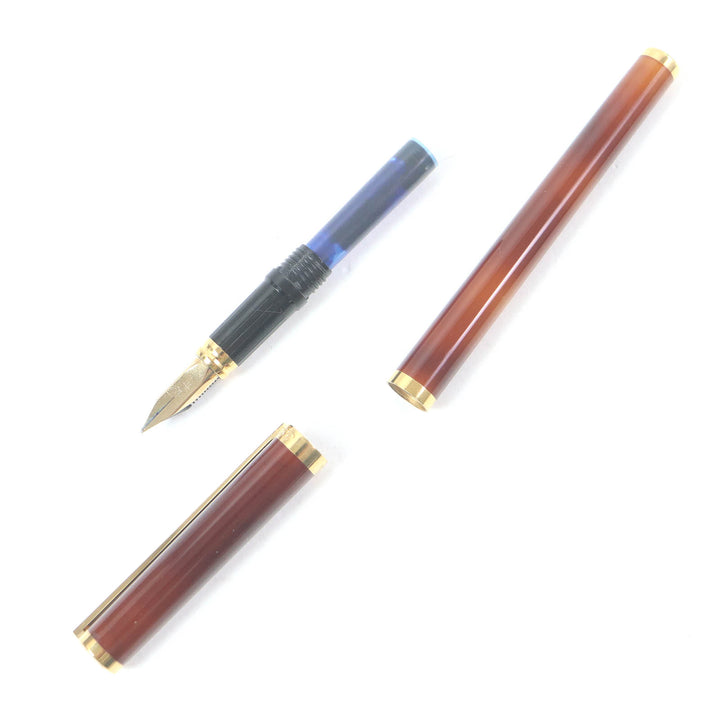 Great Dupont fountain pen Montparnasse Cap type brown marble 18K mens