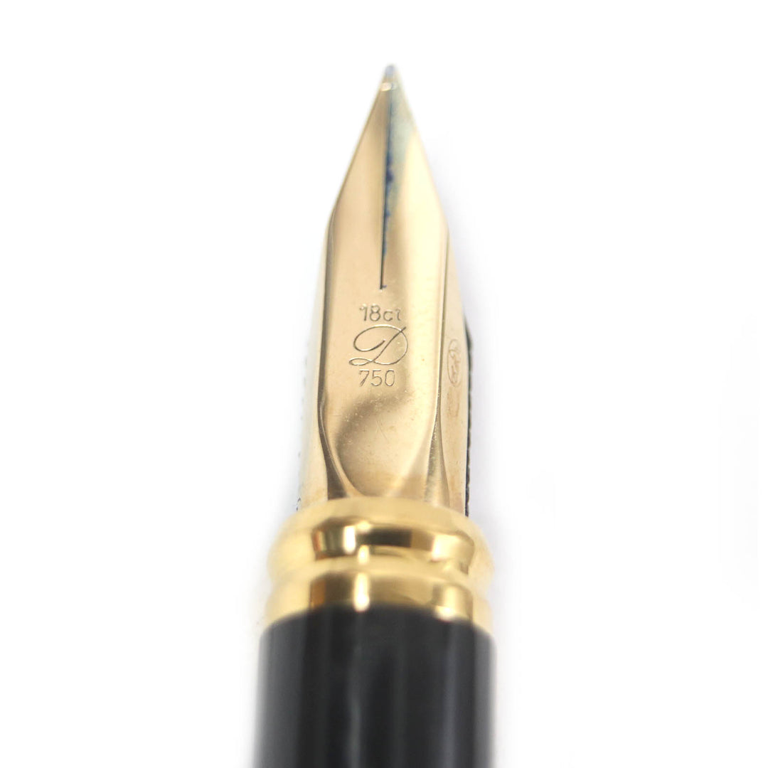 Great Dupont fountain pen Montparnasse Cap type brown marble 18K mens