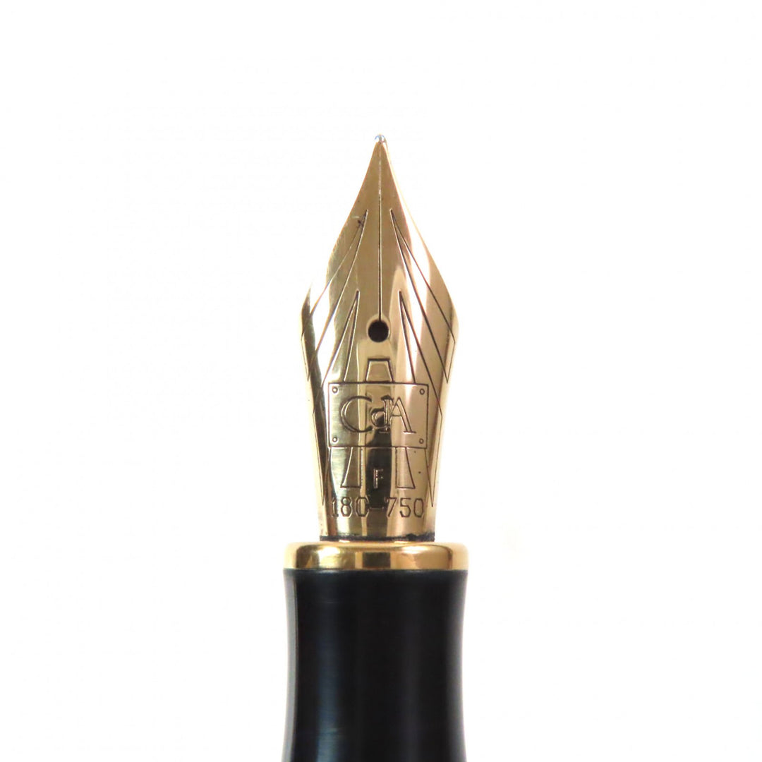 Very Good CARAN dACHE fountain pen Geneva Collection Lacquer Ecaille Marble Pattern Brown 18K mens