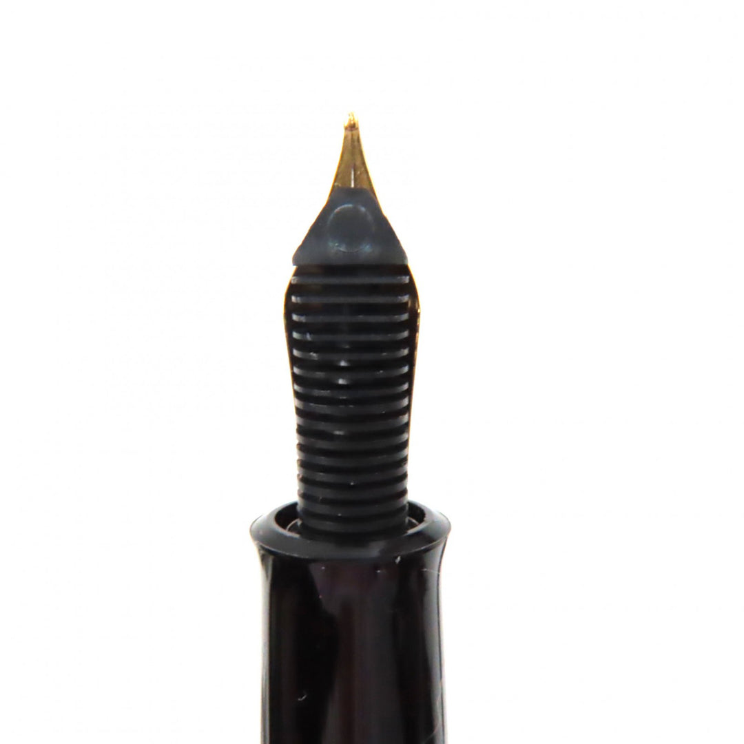 Excellent PERIKAN fountain pen Marble Pattern with engraved logo mens M200