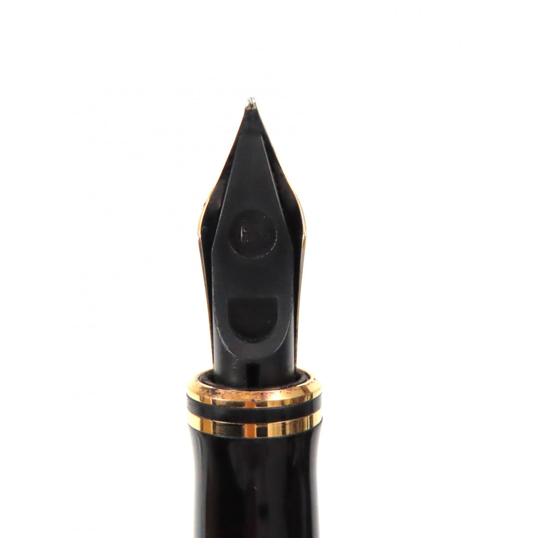 Very Good PARKER fountain pen Duofield Marble Red International 18K