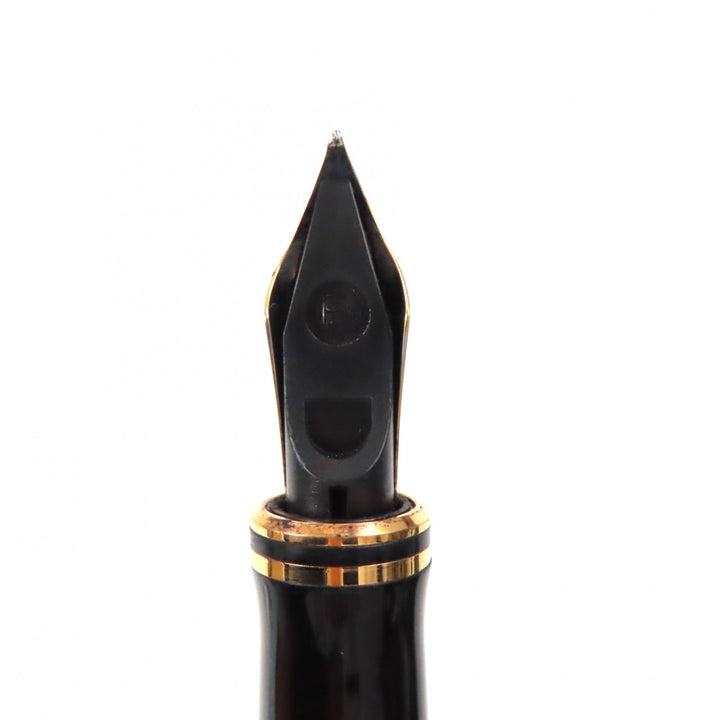 Very Good PARKER fountain pen Duofield Marble Red International 18K