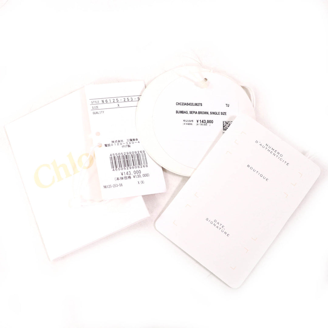 Excellent Chloe WOODY Logo Waist Pouch Cross Sling Bag Shoulder Bag CHC23AS432L0627S