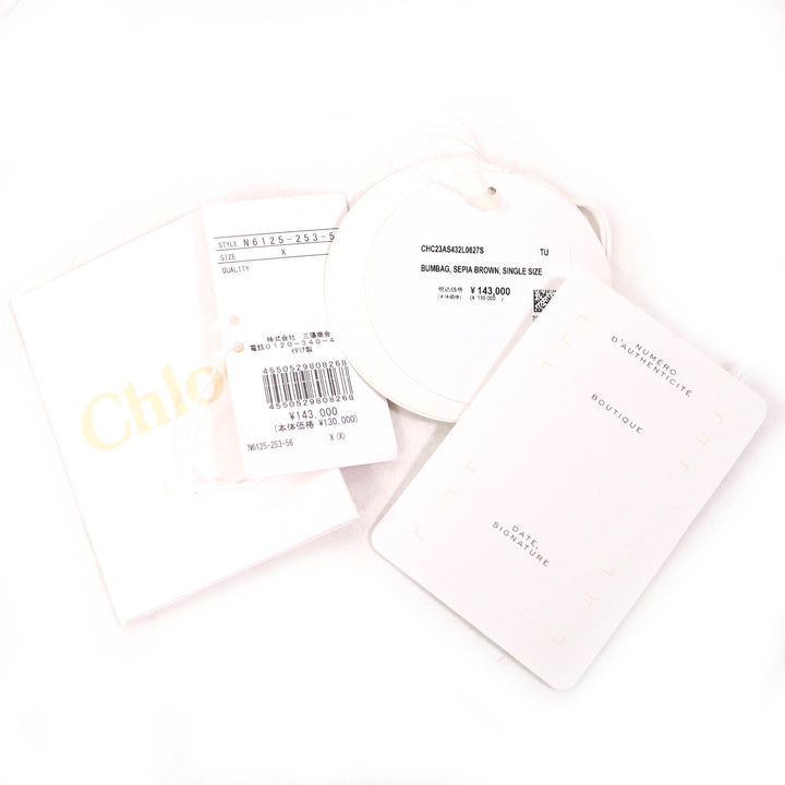 Excellent Chloe WOODY Logo Waist Pouch Cross Sling Bag Shoulder Bag CHC23AS432L0627S