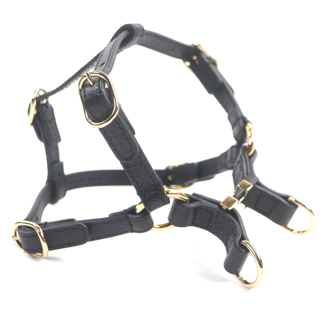 優れた GUCCI その他アクセサリー ブラックレザー メンズ 692963
