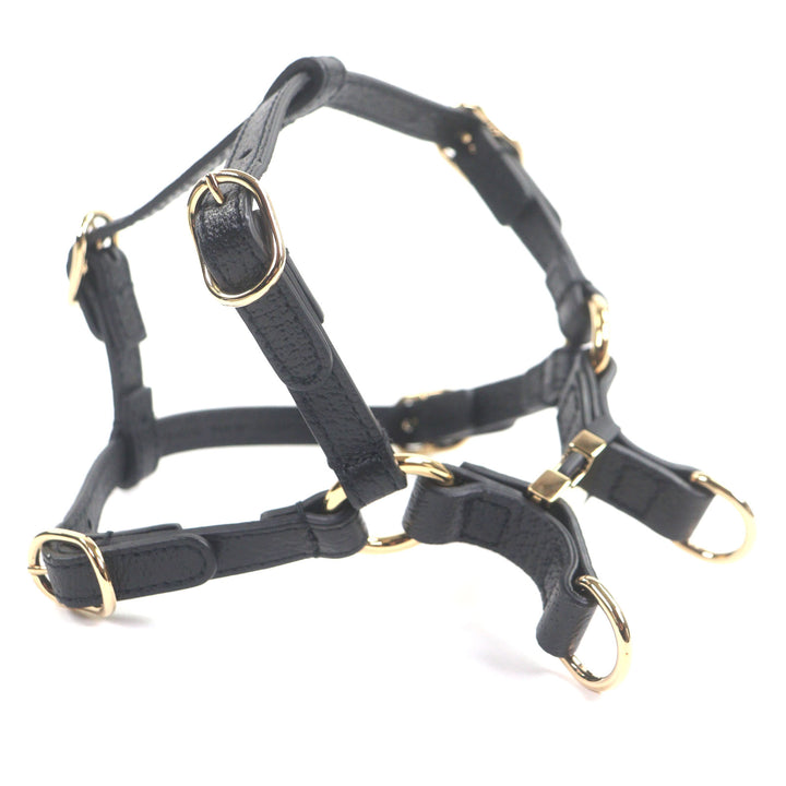 優れた GUCCI その他アクセサリー ブラックレザー メンズ 692963