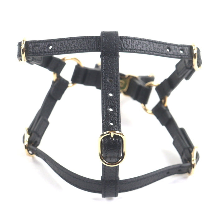 優れた GUCCI その他アクセサリー ブラックレザー メンズ 692963
