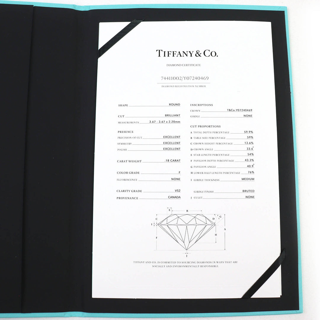 Excellent TIFFANY&Co. Necklace By the yard 1P Diamond, 0.18ct,