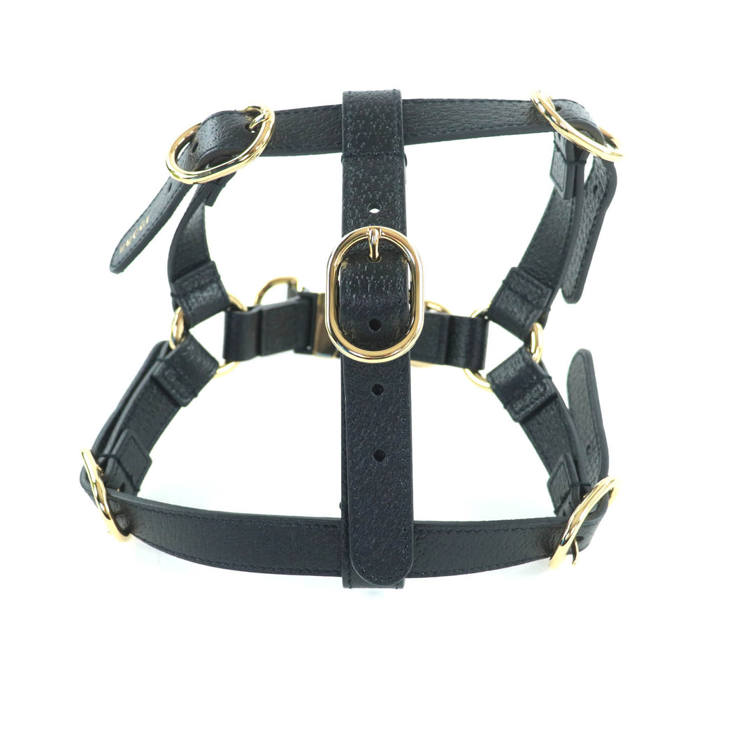 新品 GUCCI その他アクセサリー 犬用ハーネス ブラックレザー レディース S 692963
