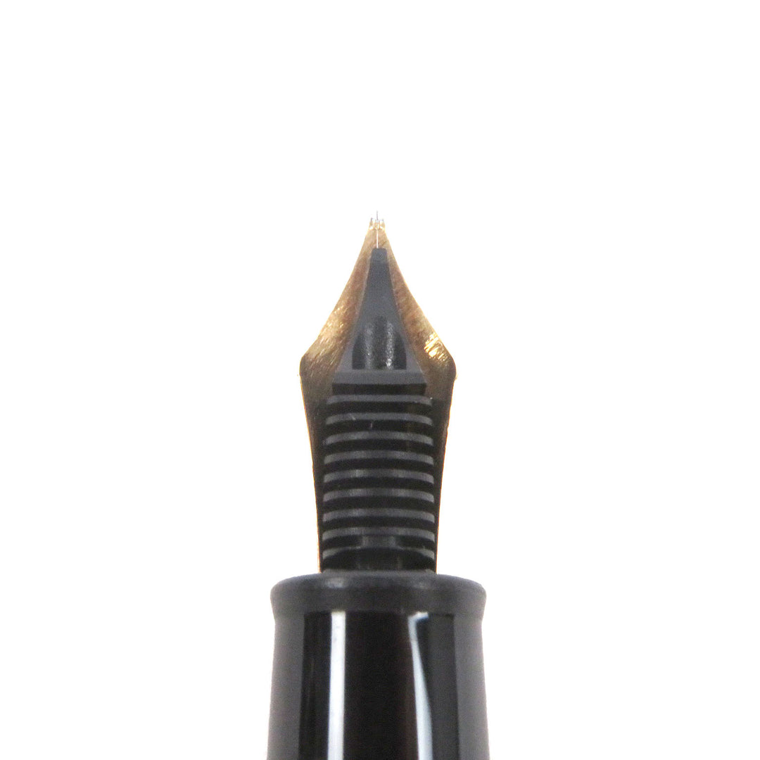 Great MONTBLANC fountain pen Meisterstück 145 Pix Classic Platinum Line Cap type