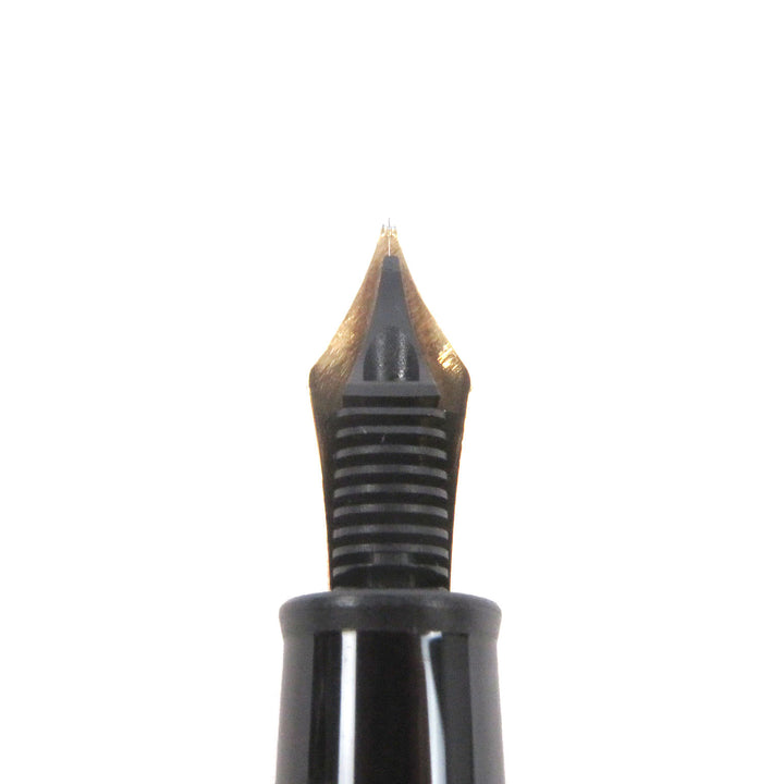 Great MONTBLANC fountain pen Meisterstück 145 Pix Classic Platinum Line Cap type