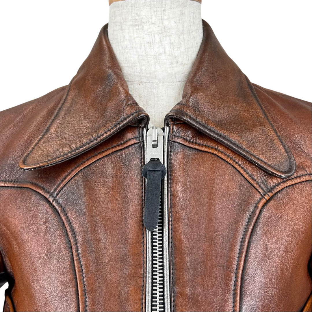 Great COACH Leather jacket Landscape Lining Sukajan Pattern Single Brown 0 26236