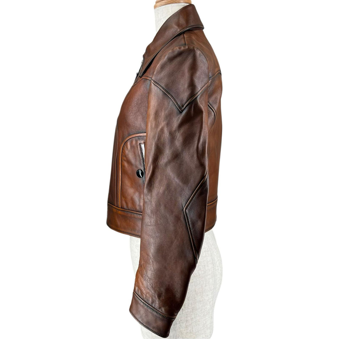 Great COACH Leather jacket Landscape Lining Sukajan Pattern Single Brown 0 26236