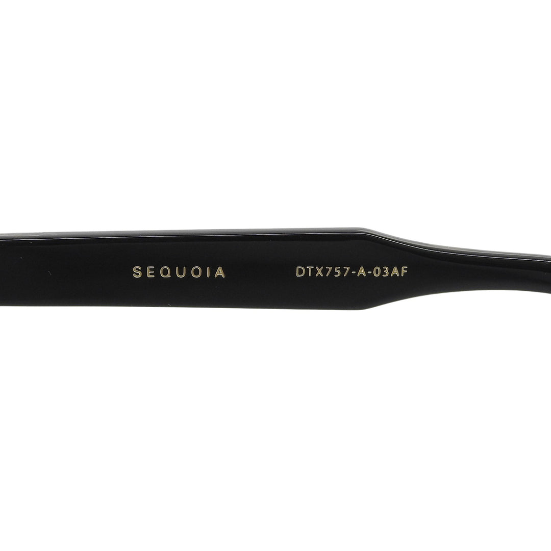 Pristine DITA Glasses SEQUOIA black mens DTX757