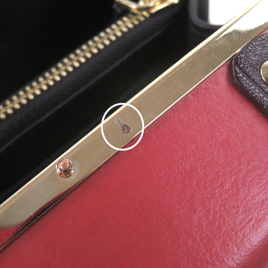 Great GLOBE TROTTER Shoulder Bag Centenary Micro Case 2WAY