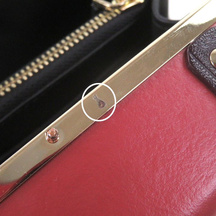 Great GLOBE TROTTER Shoulder Bag Centenary Micro Case 2WAY
