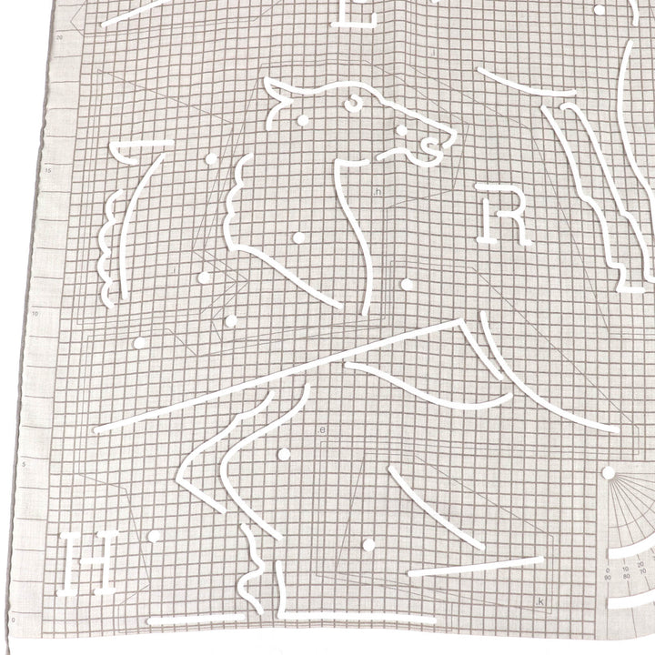 Excellent HERMES Stall Rectangle Ipograph With fringe beige cashmere mens