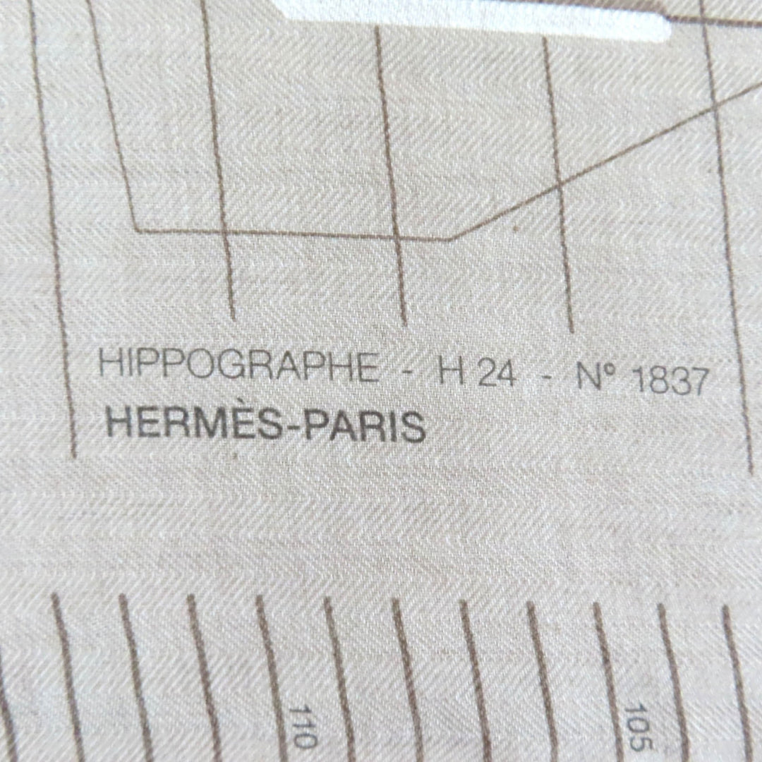 Excellent HERMES Stall Rectangle Ipograph With fringe beige cashmere mens