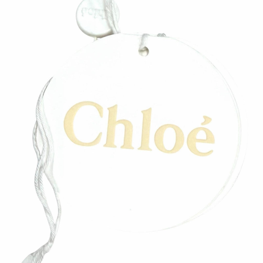 Excellent Chloe Shoulder Bag WODDY Small Basket CHC22Stainless Steel381G55101