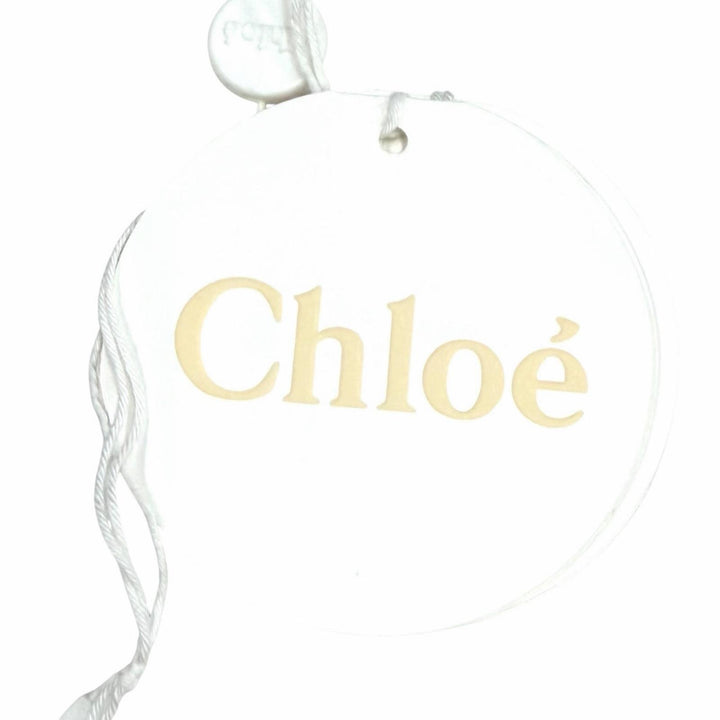 Excellent Chloe Shoulder Bag WODDY Small Basket CHC22Stainless Steel381G55101