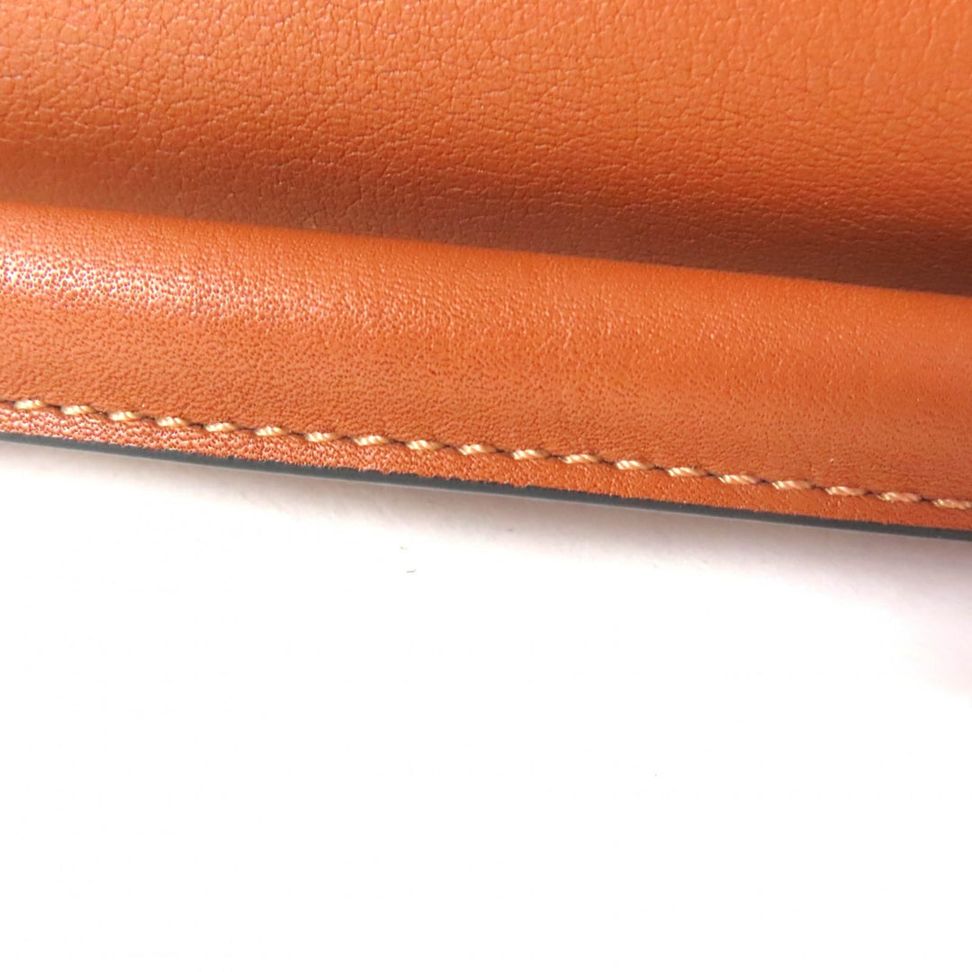 Excellent LOEWE Shoulder Bag Puzzle Edge Bag Mini Calf leather Women A510U95X37