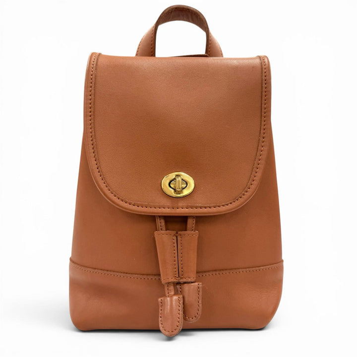Great COACH Backpack Daypack Brown Glove leather Women