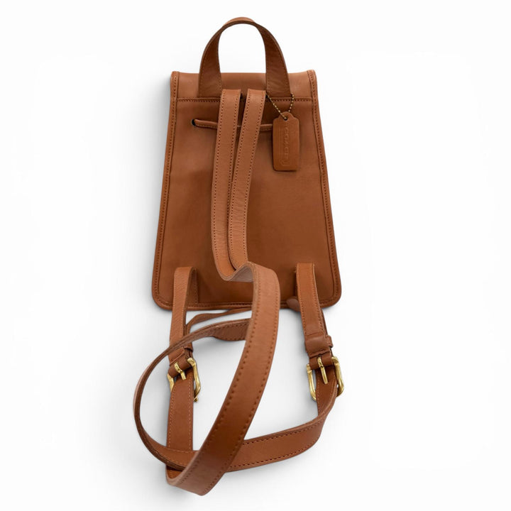 Great COACH Backpack Daypack Brown Glove leather Women