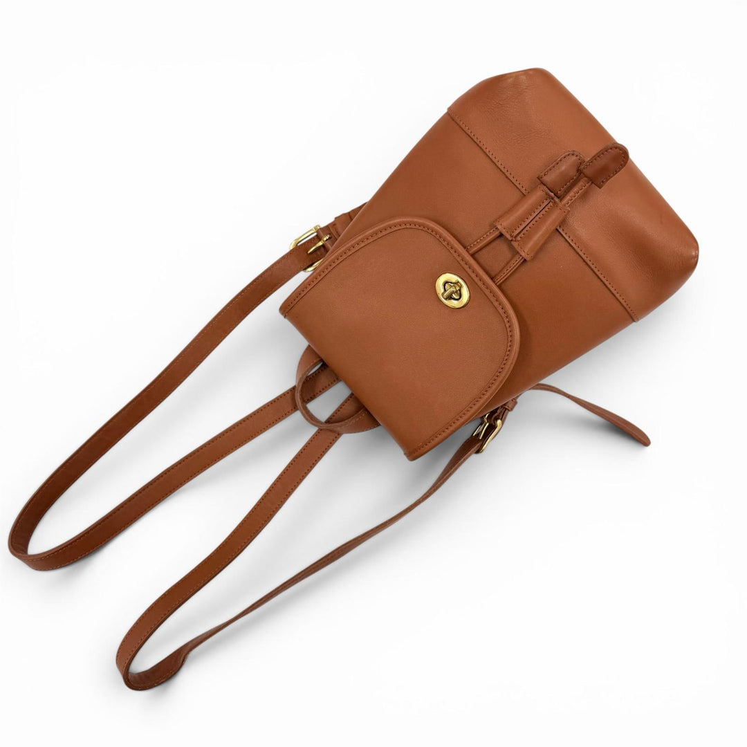 Great COACH Backpack Daypack Brown Glove leather Women
