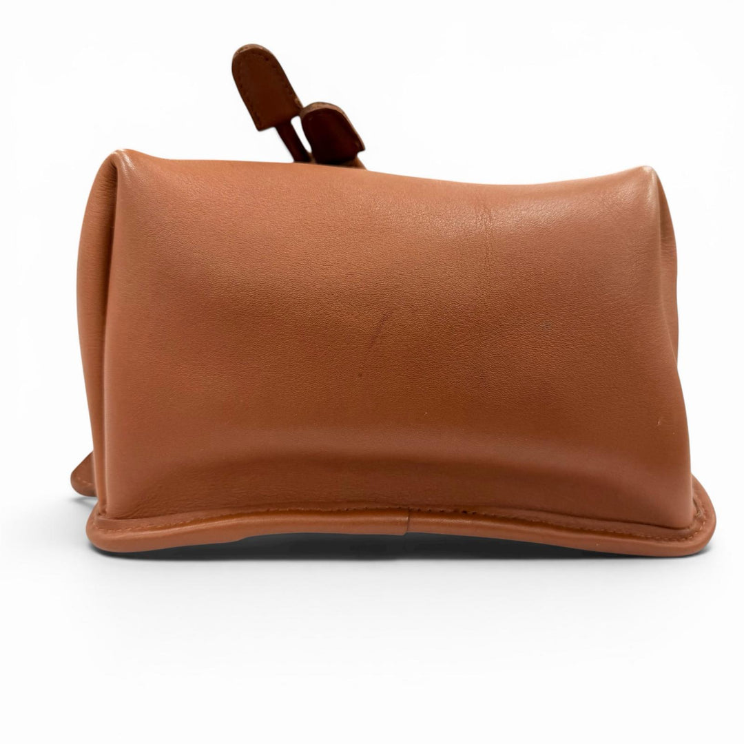 Great COACH Backpack Daypack Brown Glove leather Women