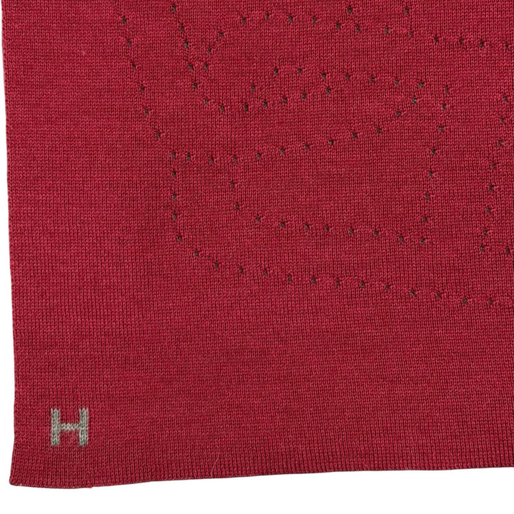 Great HERMES Scarf Allele Tour Bordeaux cashmere Women