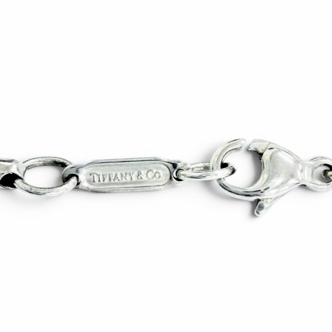 Great TIFFANY&Co. Necklace Oval Locket Pendant Necklace (Rare) Silver 925 Women