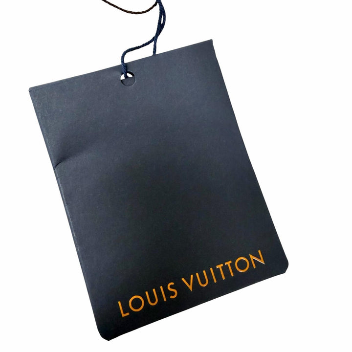 Pristine LOUIS VUITTON mountain hoodie Back LV logo hooded blue