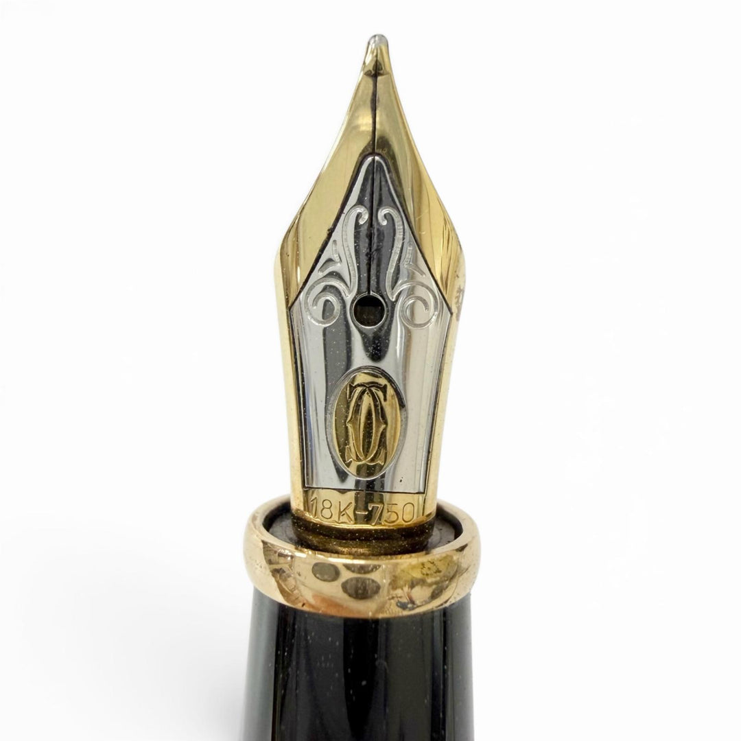 Great Cartier fountain pen Diabolo de Cartier Cap Type black 18K mens