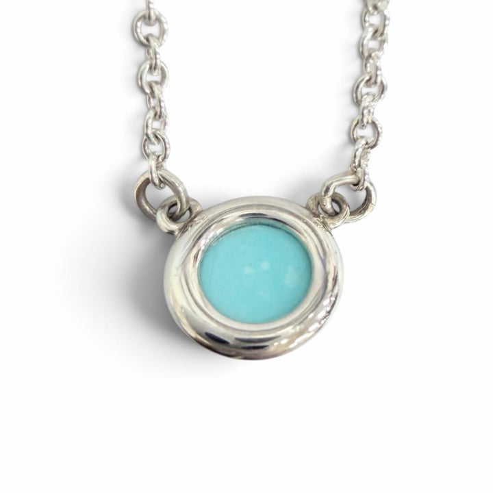 Excellent TIFFANY&Co. Color by the yard Necklace Purchased in December AG925
