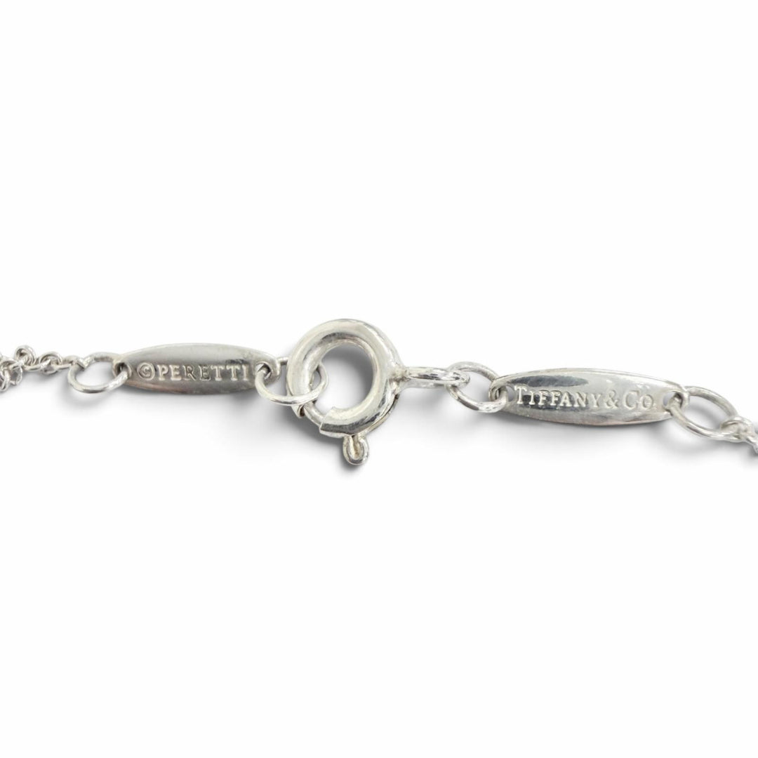 Excellent TIFFANY&Co. Color by the yard Necklace Purchased in December AG925