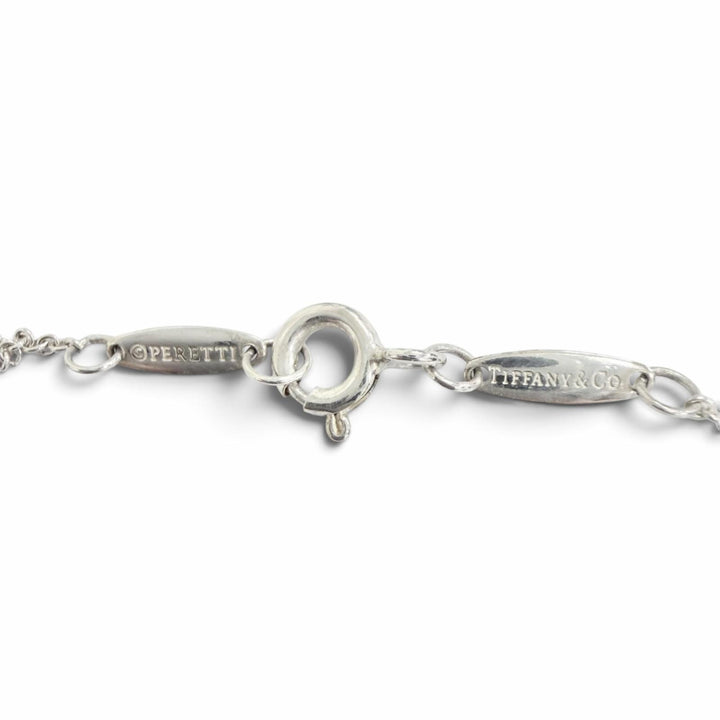 Excellent TIFFANY&Co. Color by the yard Necklace Purchased in December AG925