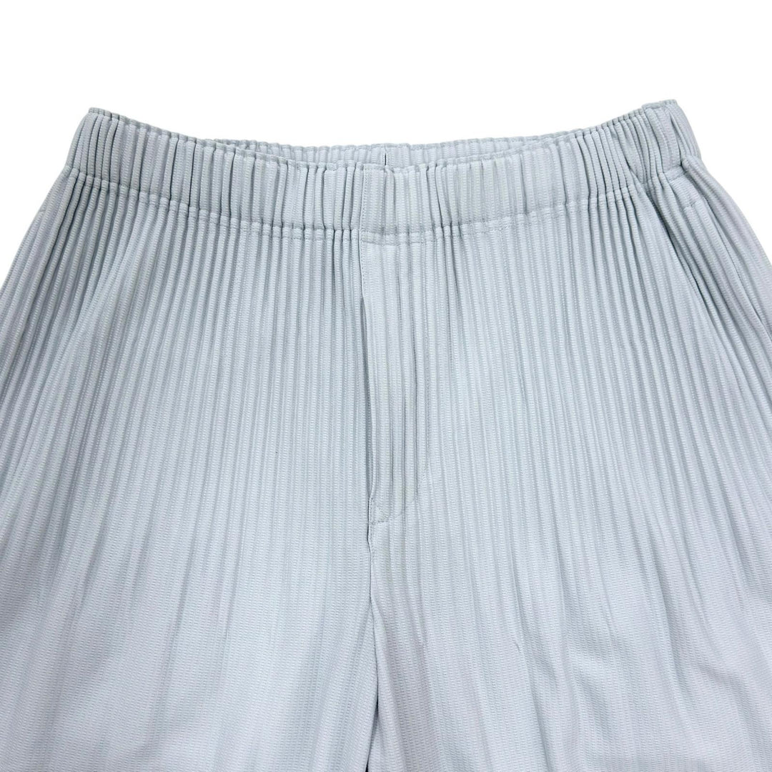 Excellent HOMME PLISSE ISSEY MIYAKE Pants Wide silhouette Pleated gray polyester