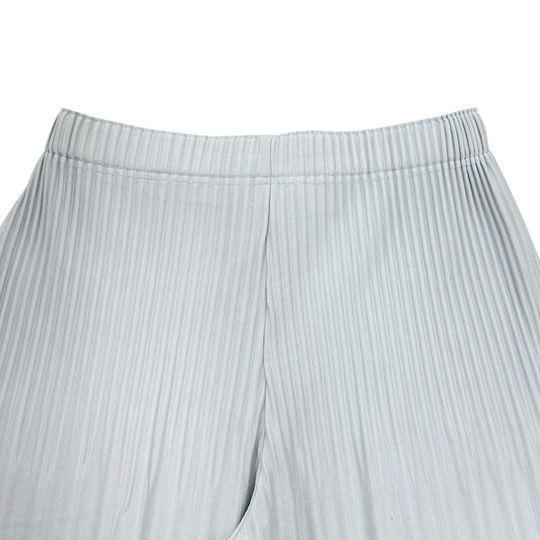 Excellent HOMME PLISSE ISSEY MIYAKE Pants Wide silhouette Pleated gray polyester