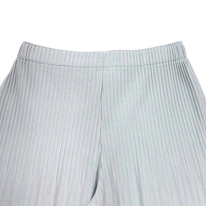 Excellent HOMME PLISSE ISSEY MIYAKE Pants Wide silhouette Pleated gray polyester