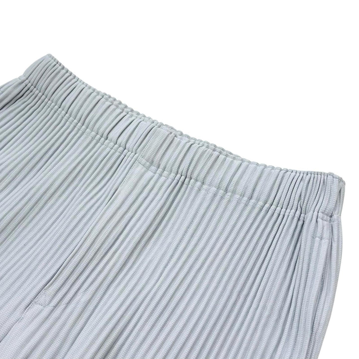 Excellent HOMME PLISSE ISSEY MIYAKE Pants Wide silhouette Pleated gray polyester