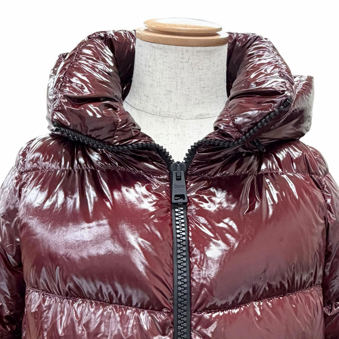 Great Herno Down jacket Stand collar, hooded, zip-up Bordeaux 40 PI116DL