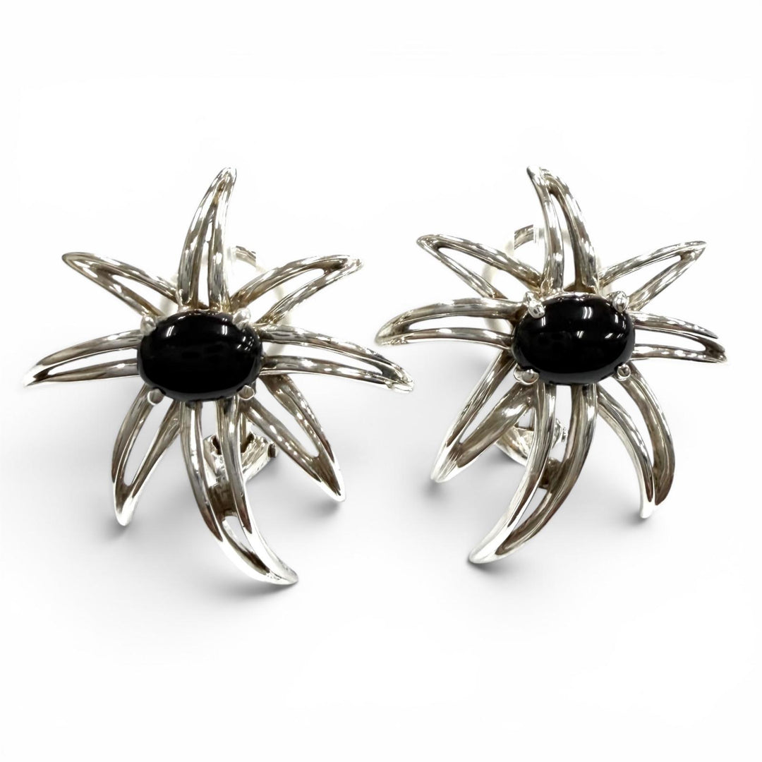 Great TIFFANY&Co. Earring Fireworks Silver AG925 Women