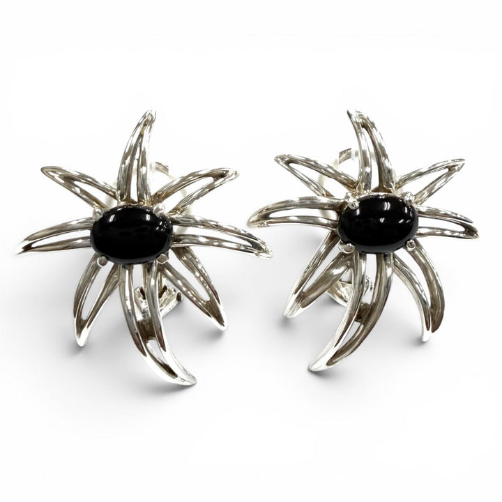Great TIFFANY&Co. Earring Fireworks Silver AG925 Women